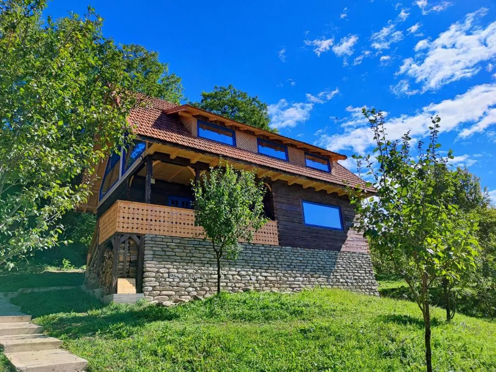 Image 1 of La sat – Radu Dragu