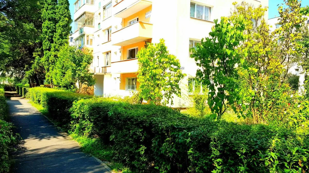 Image 3 of Luxury Paul apartment green, private & accessible