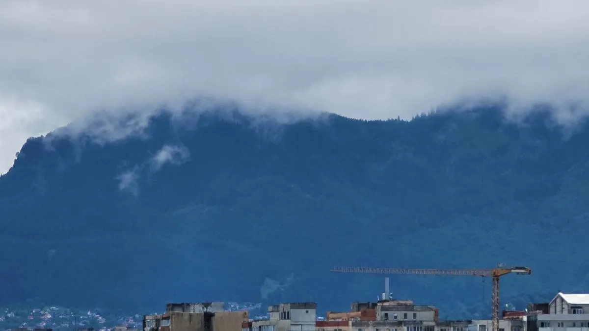 Image 6 of Mei blue