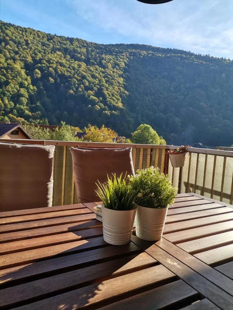 Image 4 of Miro Apartament