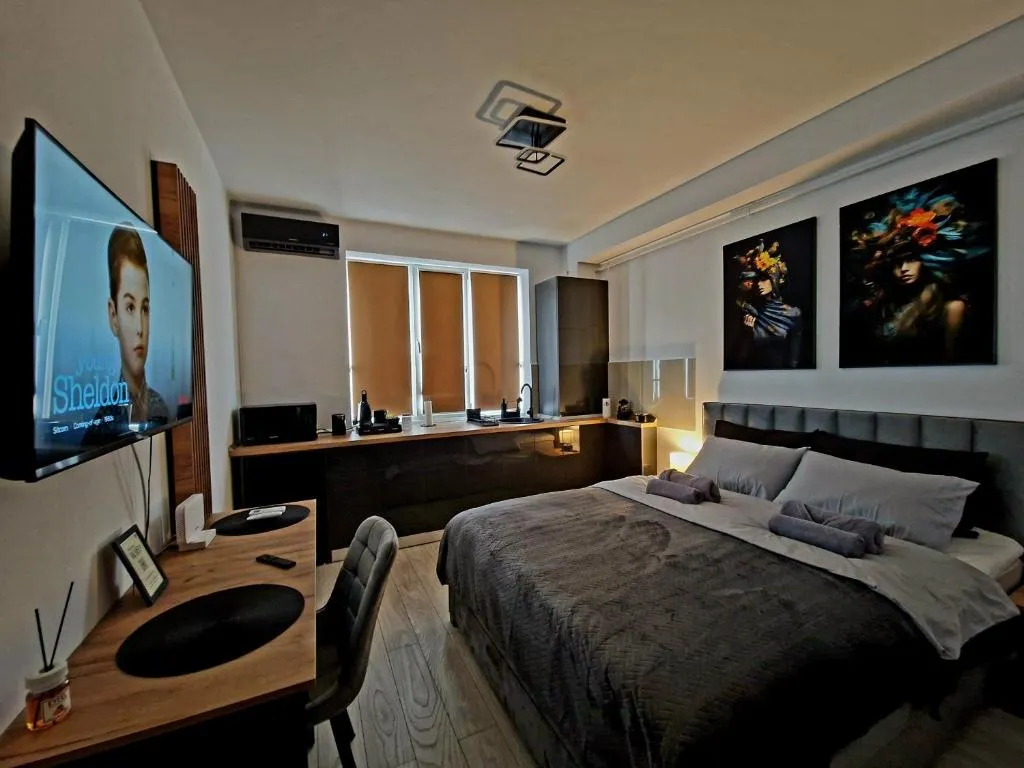 Image 1 of Modern Studio Onești