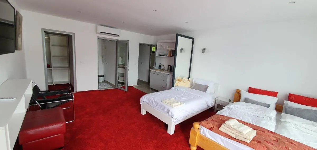 Image 6 of Modern rooms Colibita