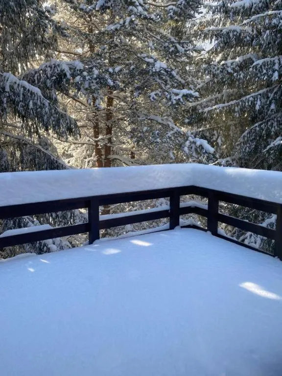Image 4 of Mountain Chalet – Cabana la Muntele Baisorii