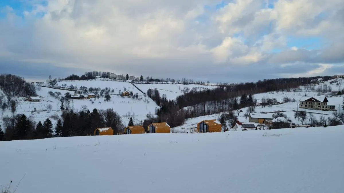 Image 2 of My Little Village