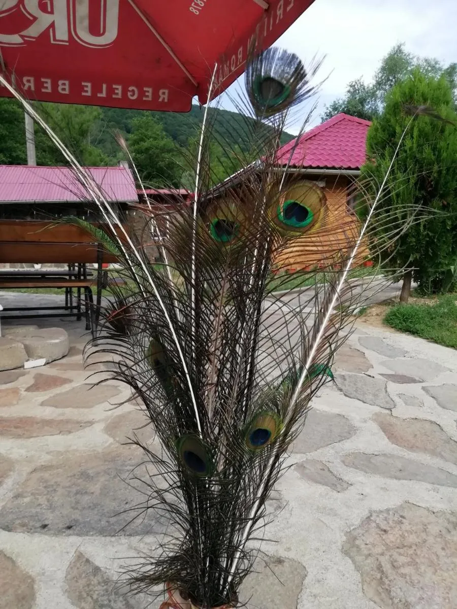 Image 4 of PENSIUNEA LA BUSU -BIGAR