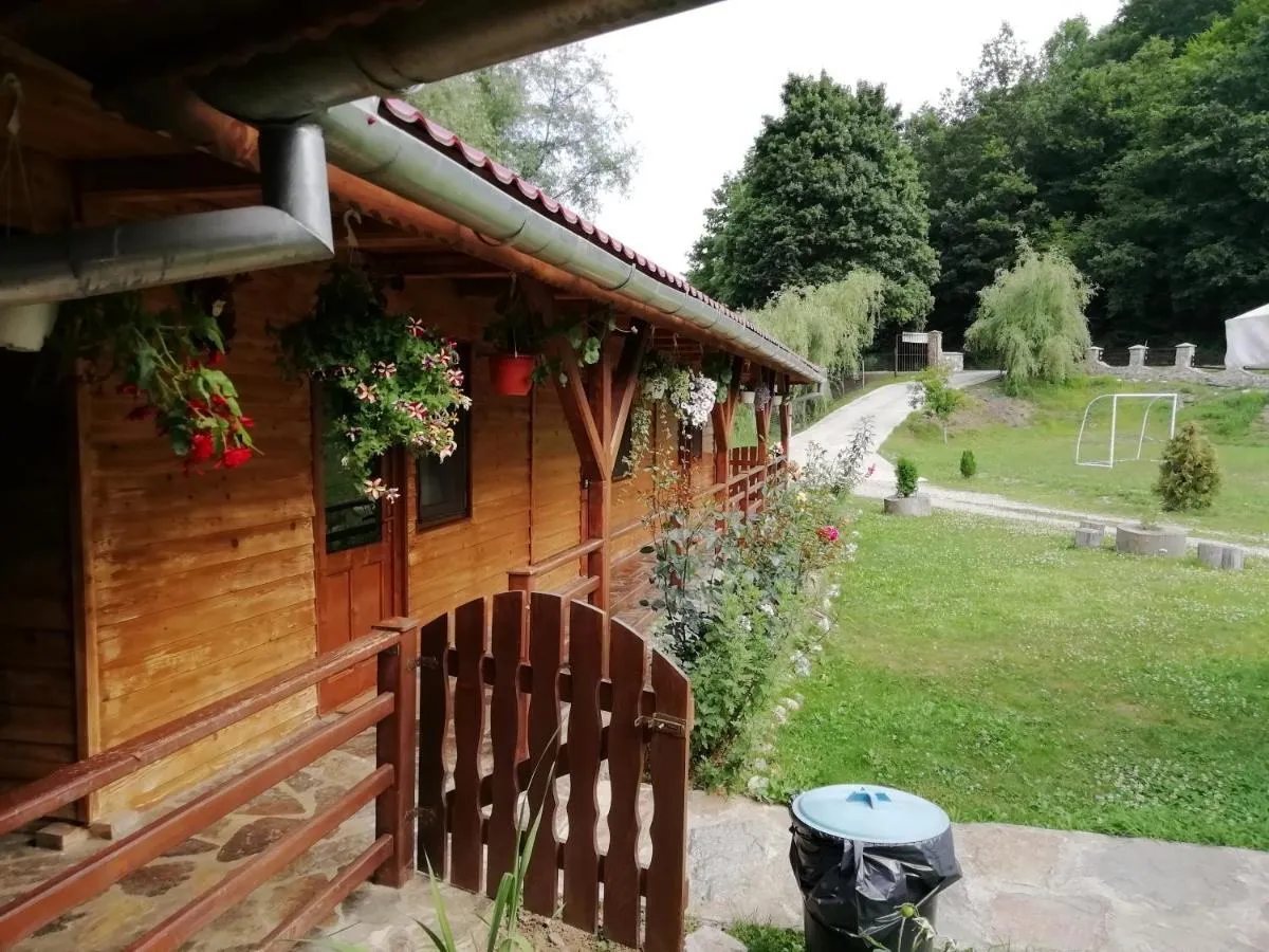Image 2 of PENSIUNEA LA BUSU -BIGAR