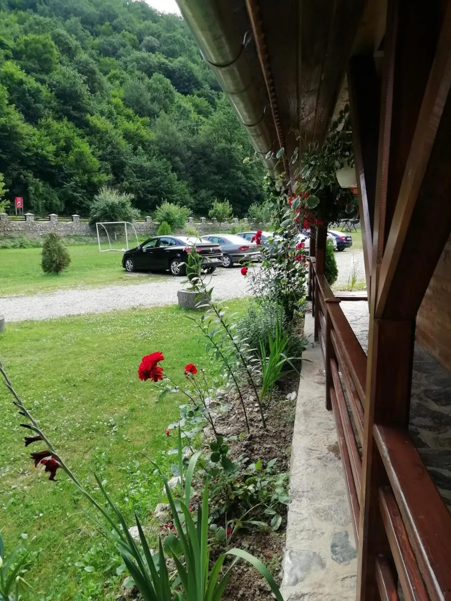 Image 5 of PENSIUNEA LA BUSU -BIGAR