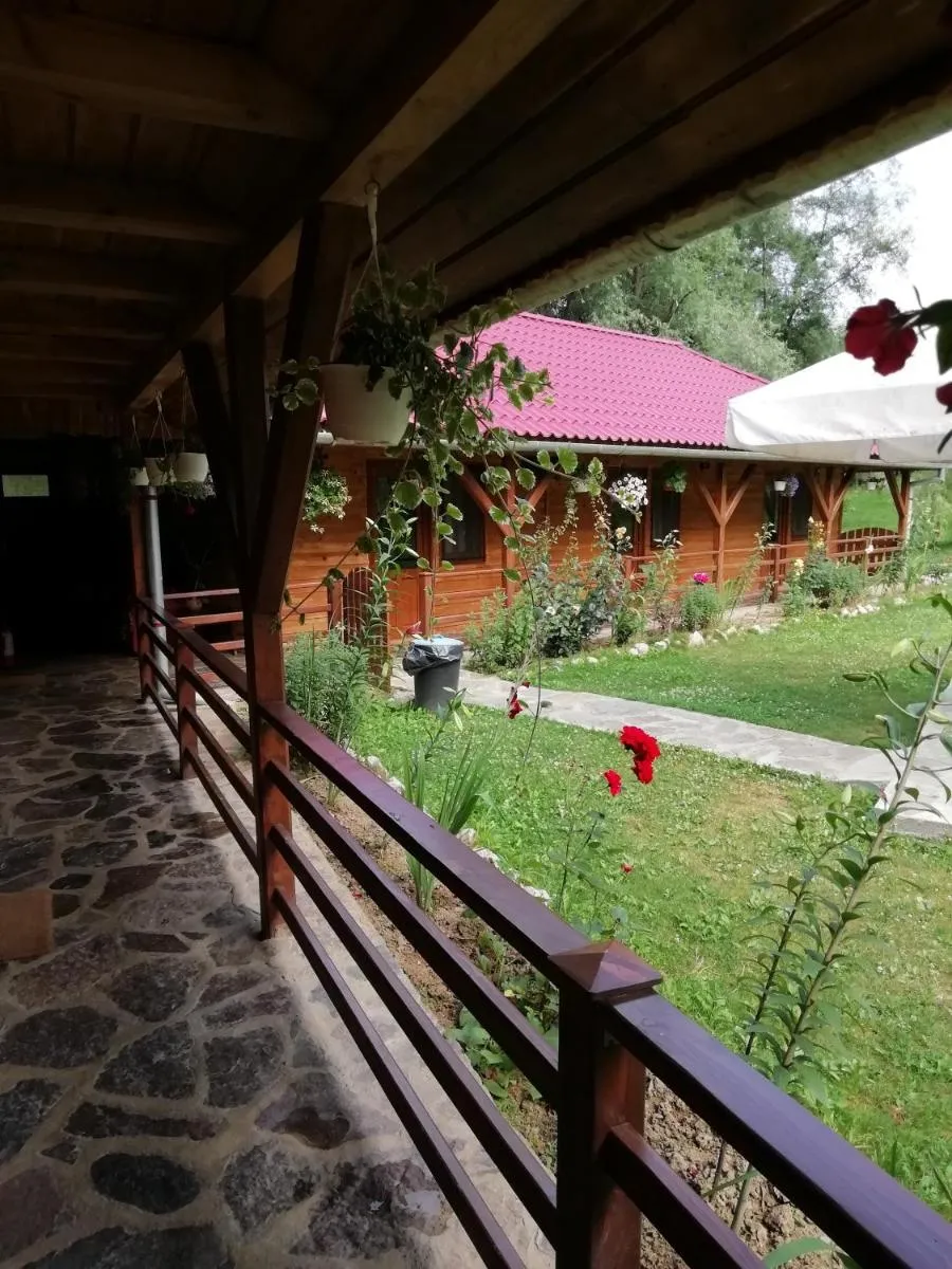 Image 6 of PENSIUNEA LA BUSU -BIGAR
