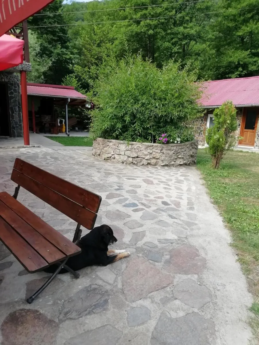 Image 7 of PENSIUNEA LA BUSU -BIGAR