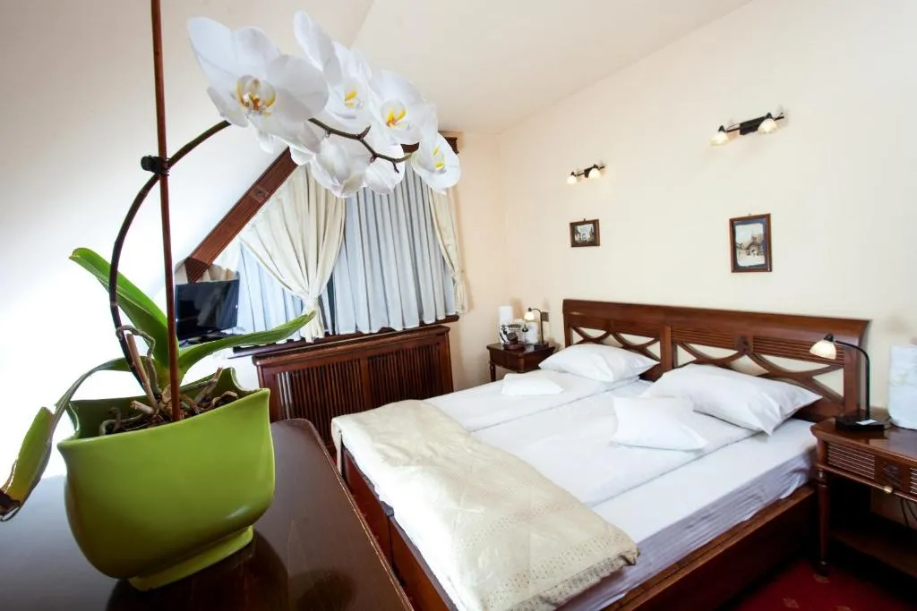 Image 1 of Pension Brasovu Vechi