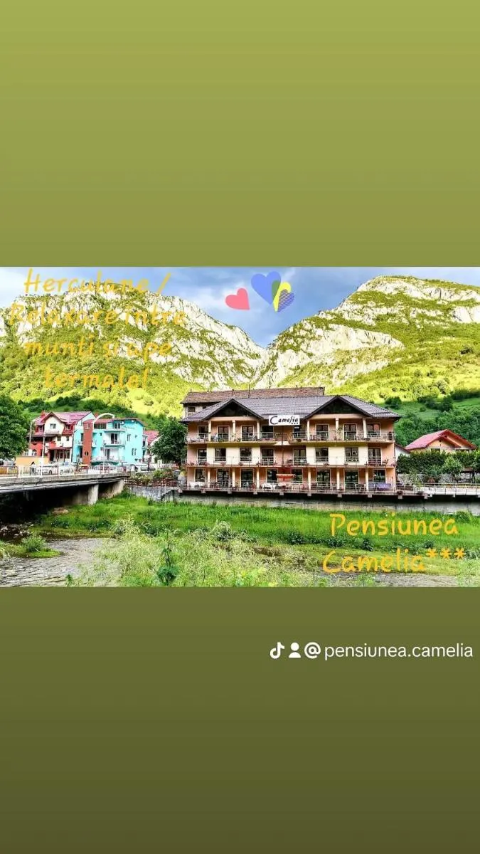 Image 4 of Pension Camelia