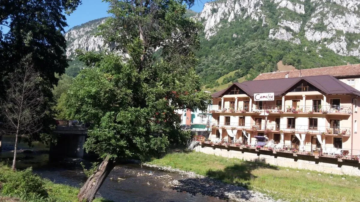 Image 2 of Pension Camelia