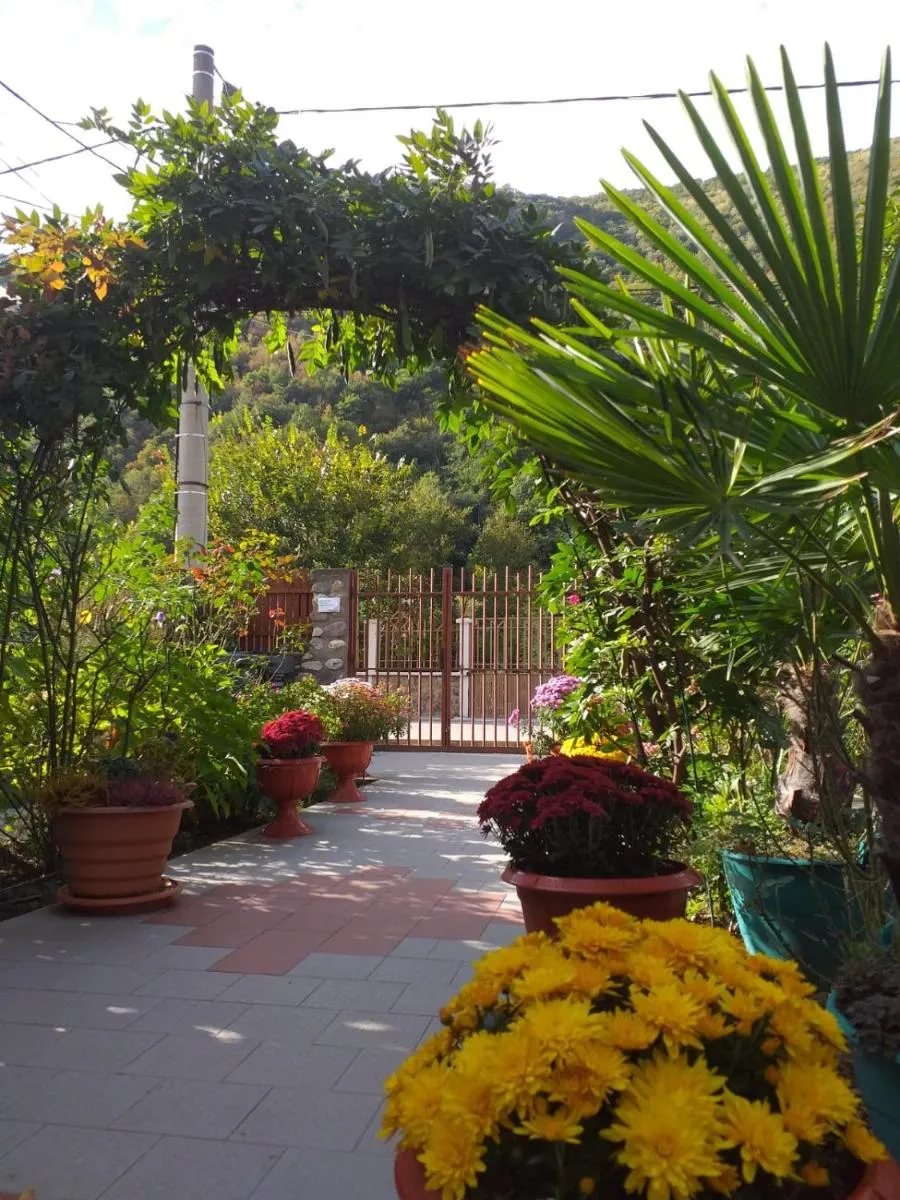 Image 5 of Pension Eden
