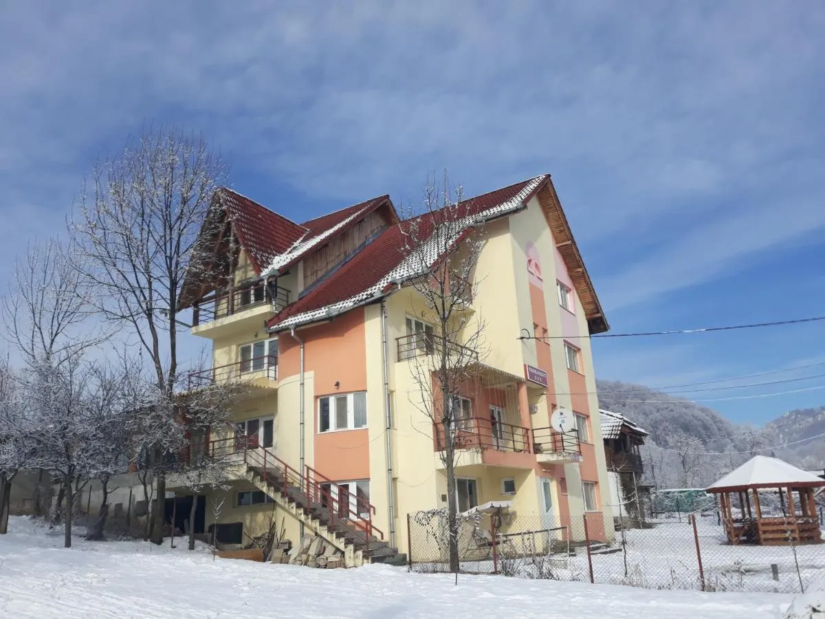Image 3 of Pension Nicoleta