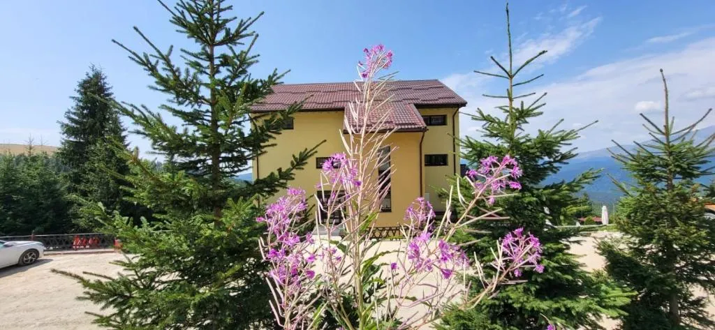 Image 1 of Pension Valea Mariei