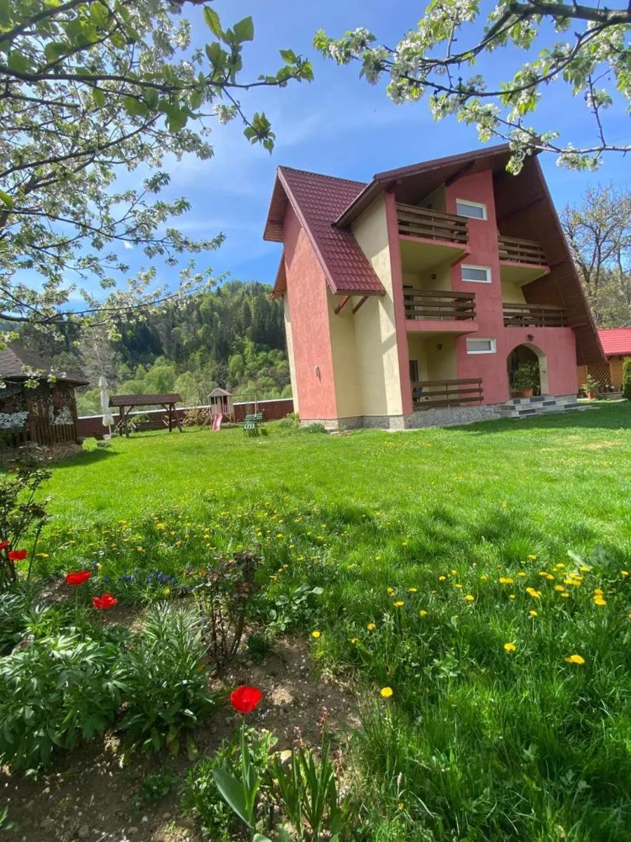 Image 6 of Pensiunea BUJOR DE MUNTE