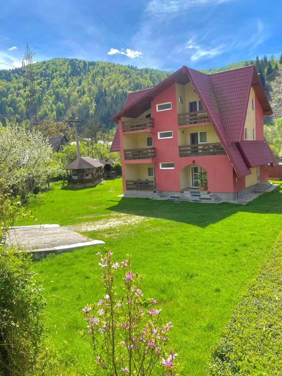 Image 4 of Pensiunea BUJOR DE MUNTE