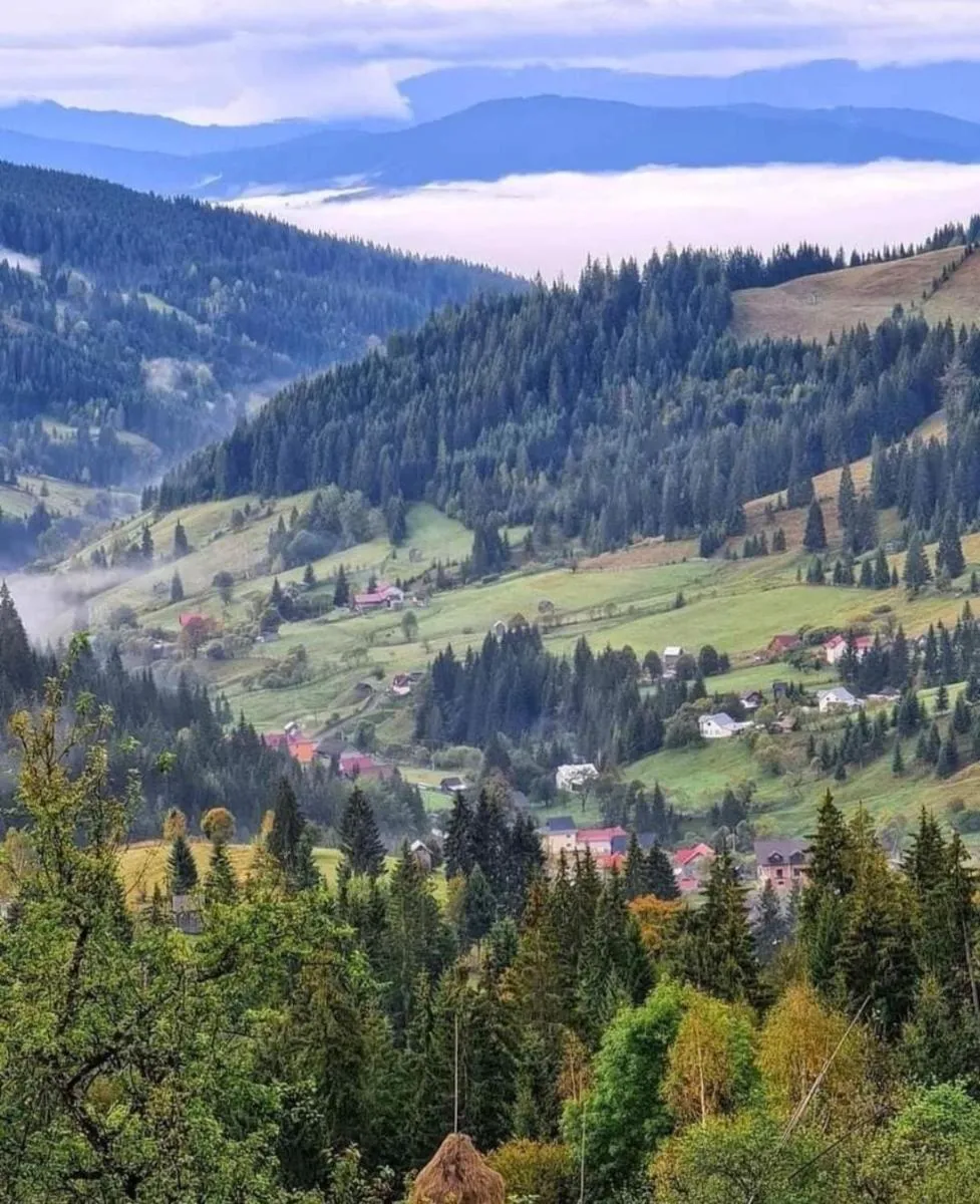 Image 4 of Pensiunea Casa Fierarul din Bucovina