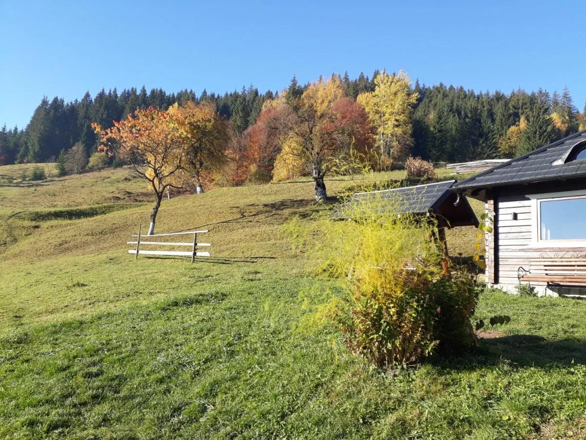 Image 7 of Pensiunea Casa Fierarul din Bucovina