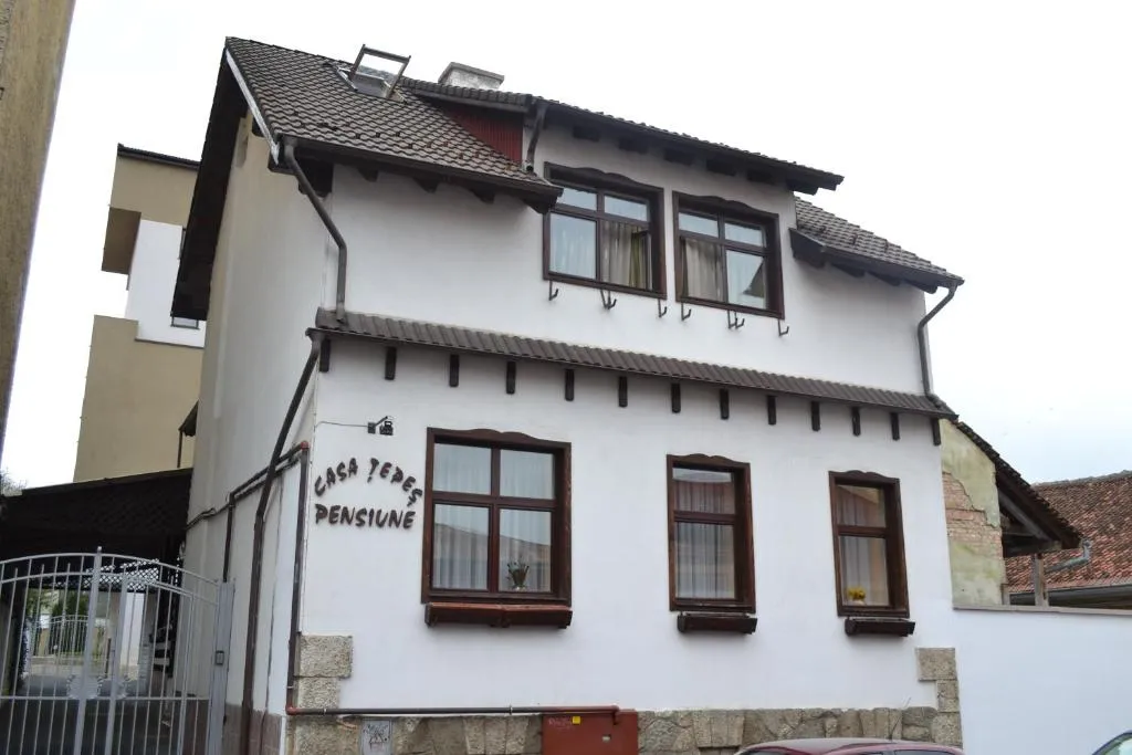 Image 1 of Pensiunea Casa Tepes