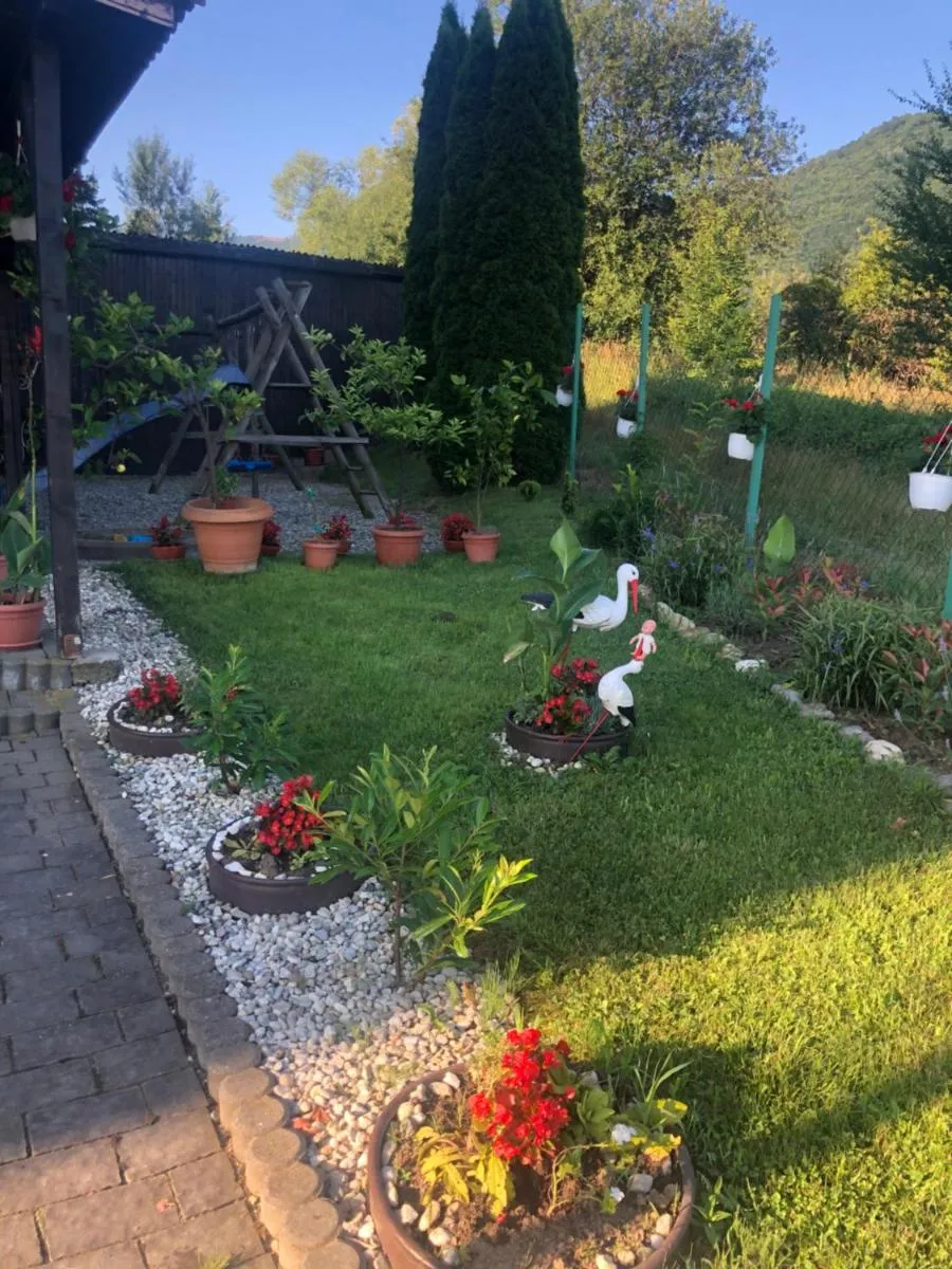 Image 5 of Pensiunea Casa cu Flori
