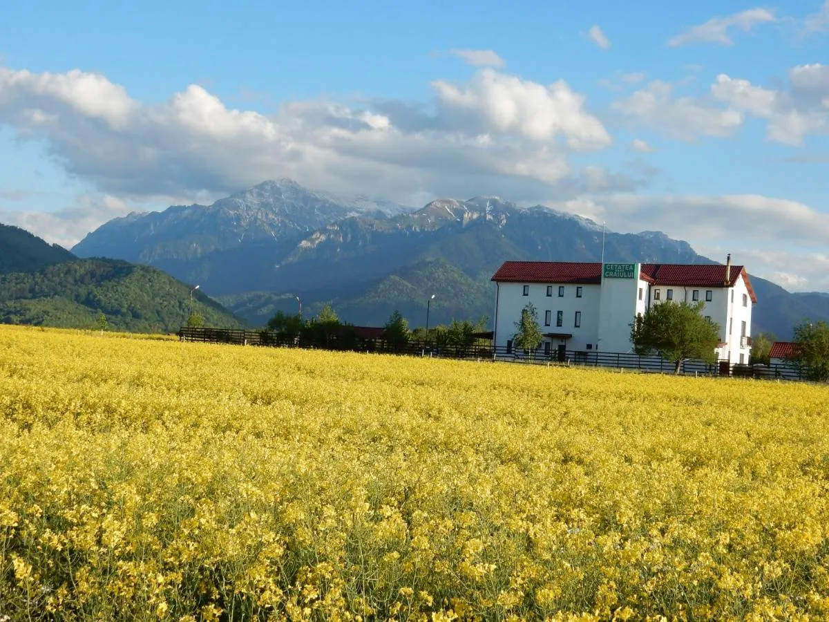 Image 5 of Pensiunea Cetatea Craiului