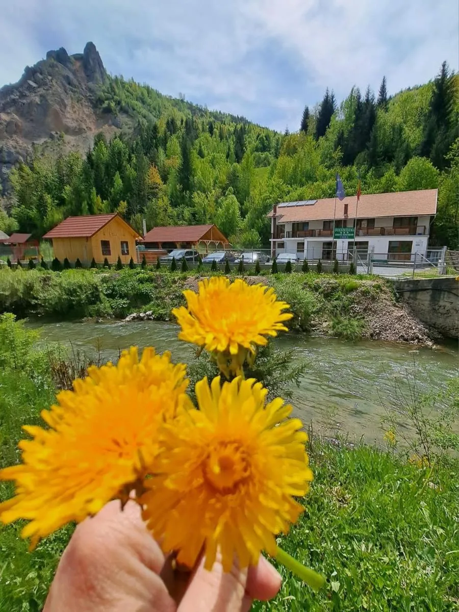 Image 4 of Pensiunea Cheile Șugăului