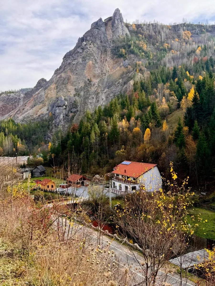 Image 7 of Pensiunea Cheile Șugăului