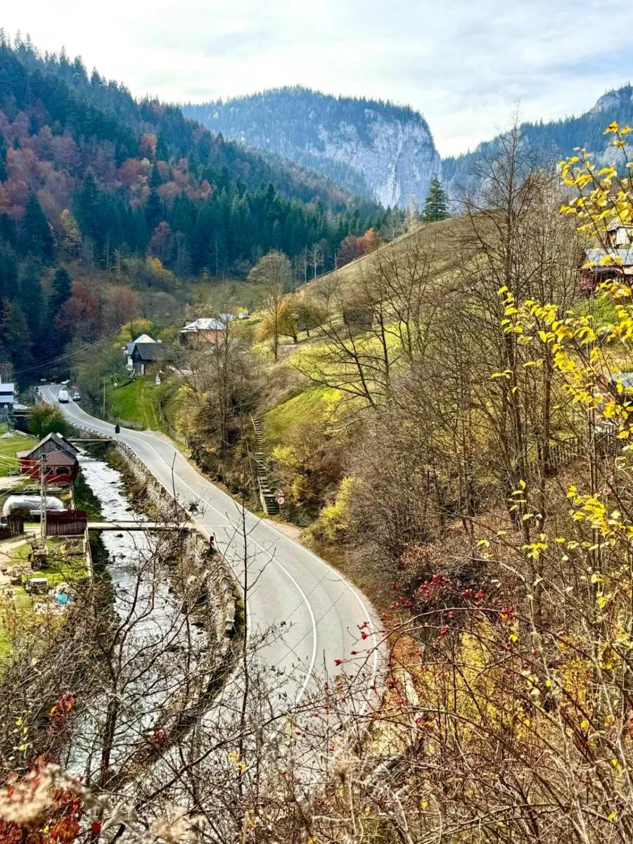 Image 6 of Pensiunea Cheile Șugăului