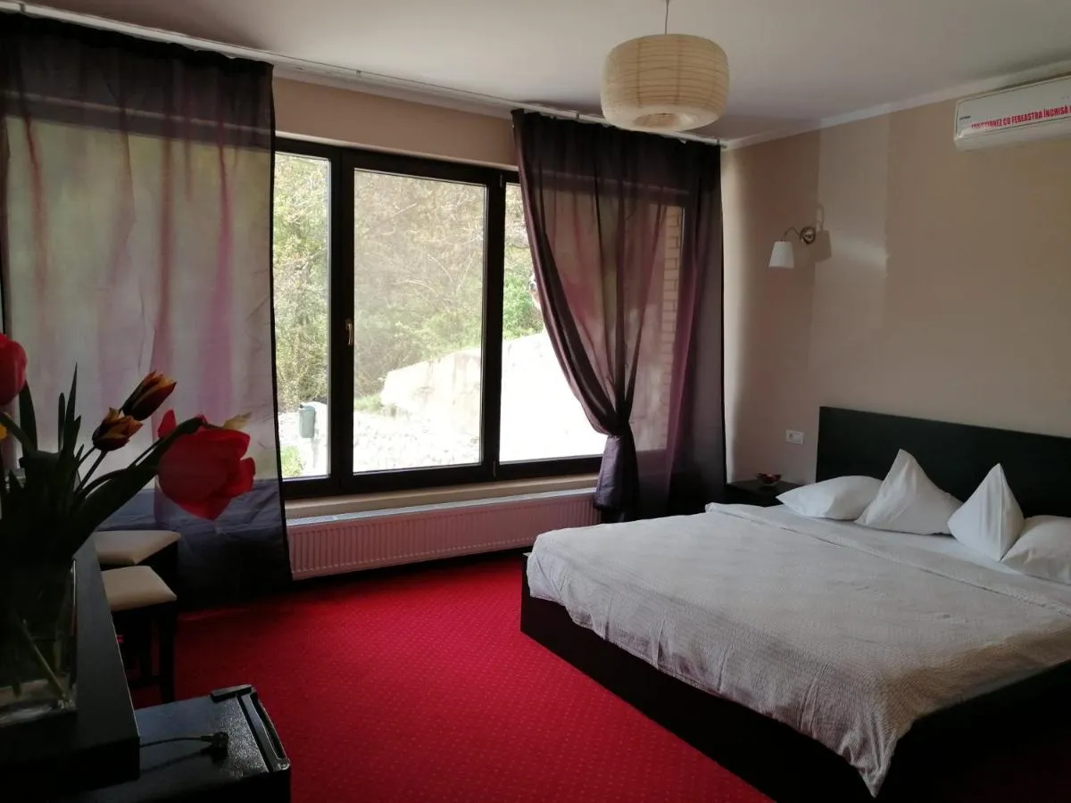 Image 3 of Pensiunea Decebal Resort – Cazanele Dunarii