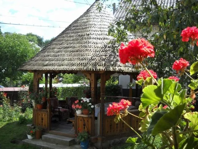 Image 4 of Pensiunea Denisa