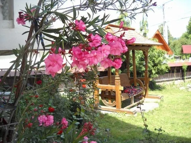 Image 7 of Pensiunea Denisa