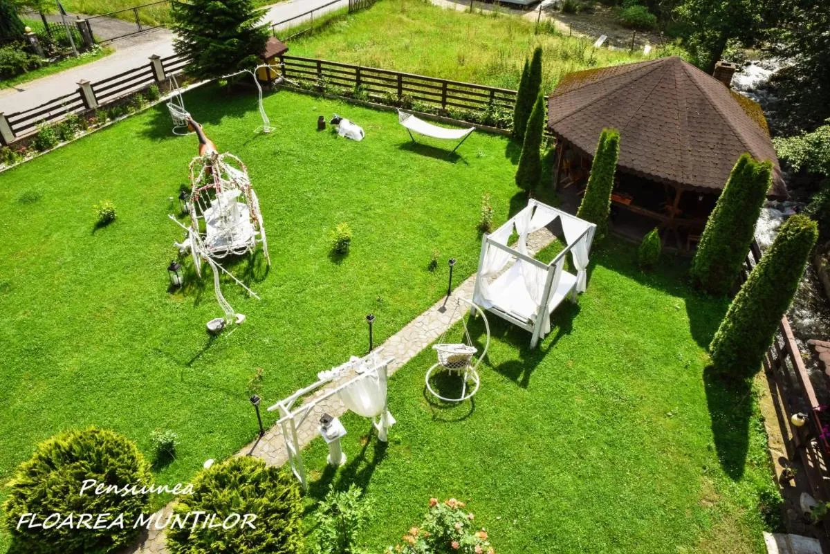 Image 2 of Pensiunea Floarea Munților