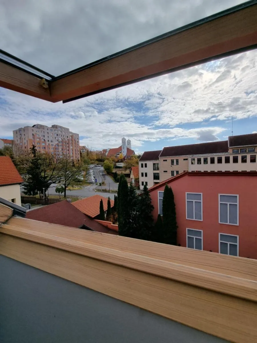 Image 3 of Pensiunea Korona and Restaurant
