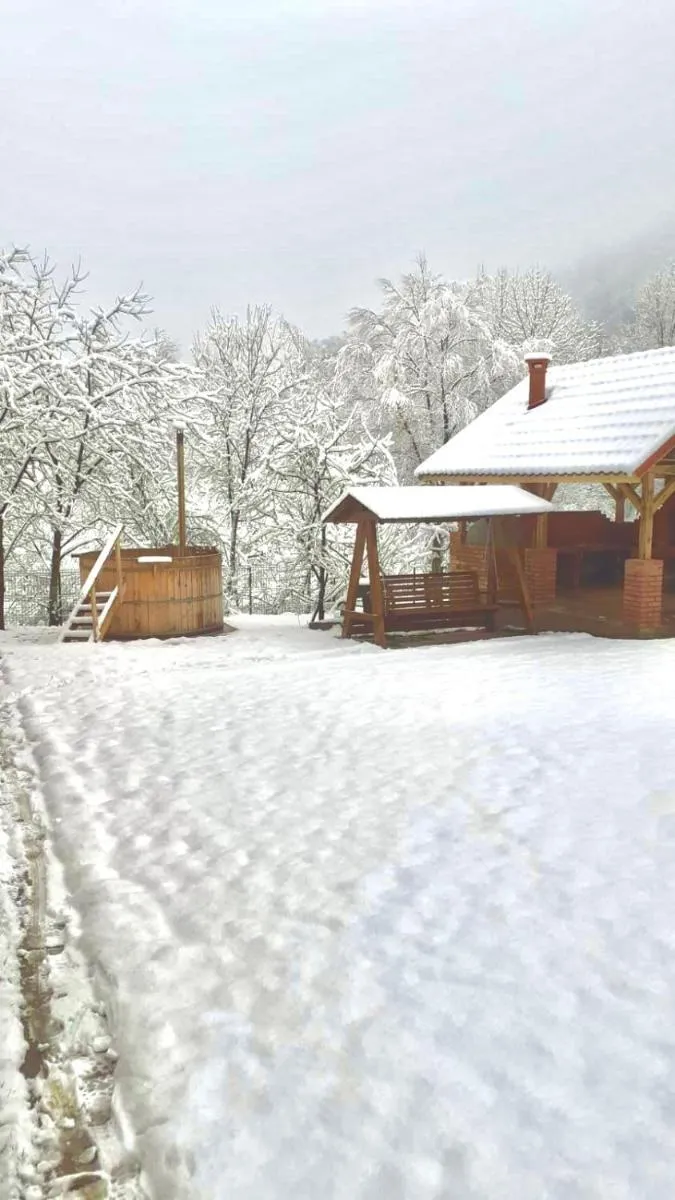 Image 4 of Pensiunea La Buru