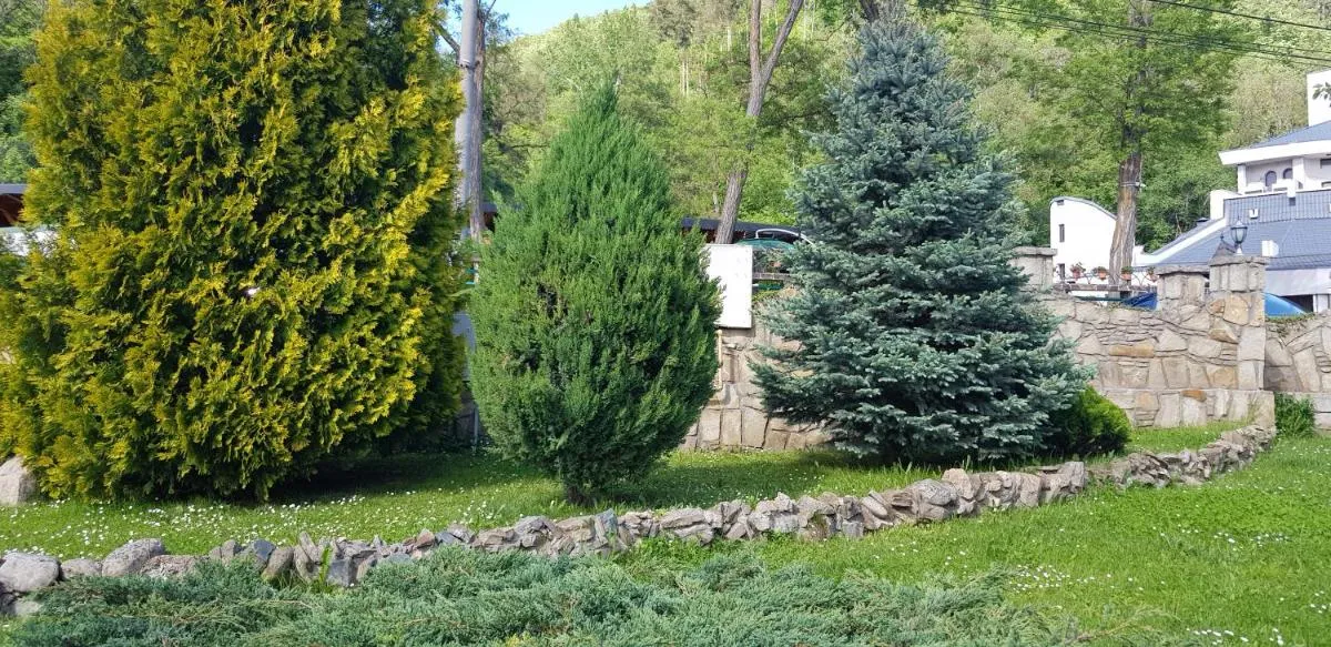 Image 3 of Pensiunea La Cetate