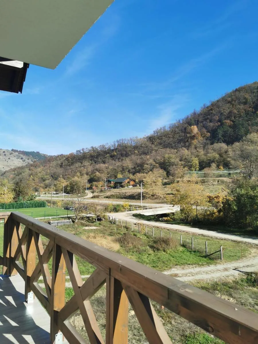 Image 6 of Pensiunea La Nenea Iancu