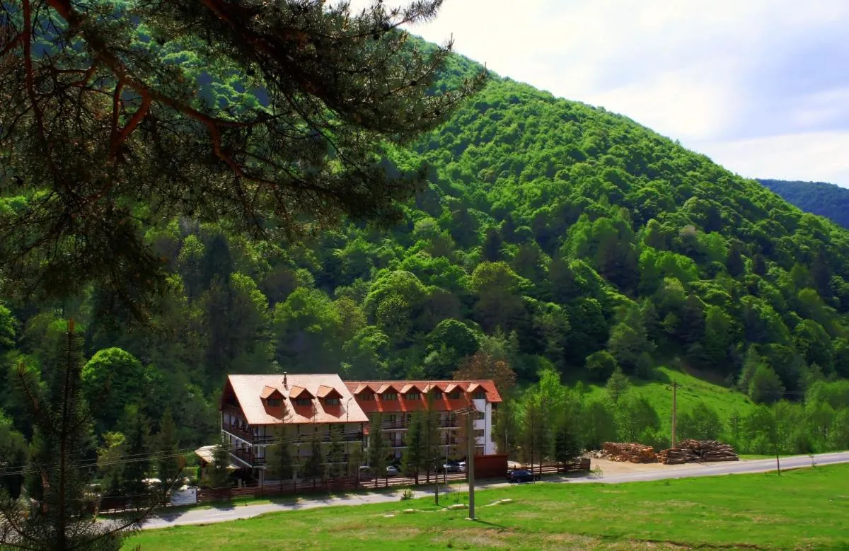 Image 6 of Pensiunea Mai