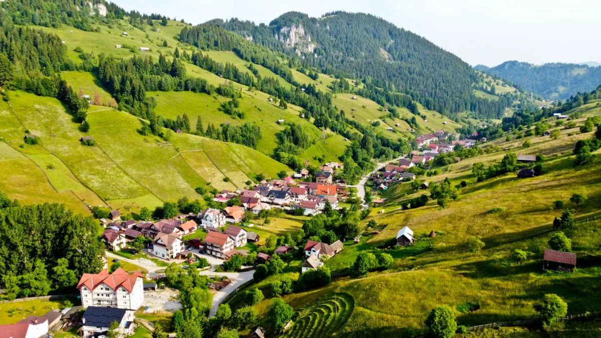 Image 7 of Pensiunea Malina
