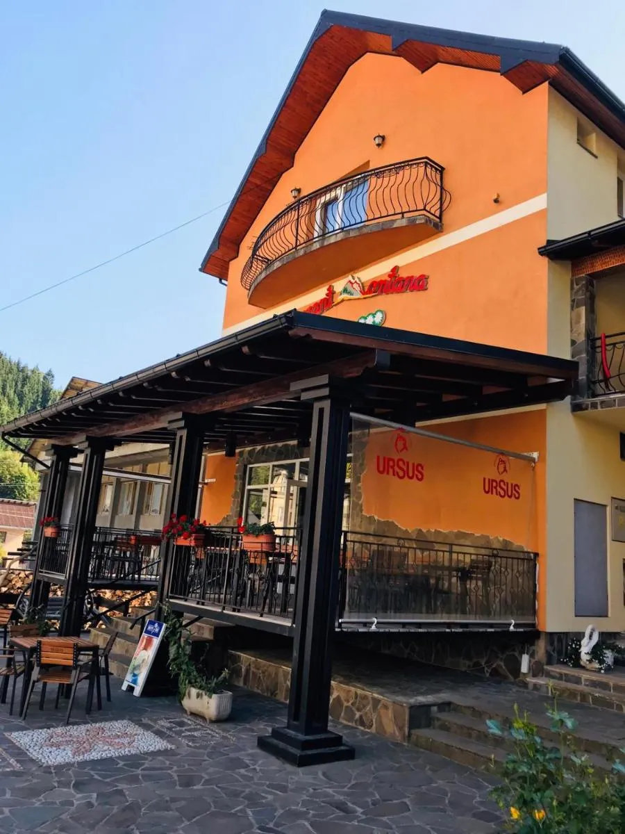 Image 4 of Pensiunea Montana Borșa MM