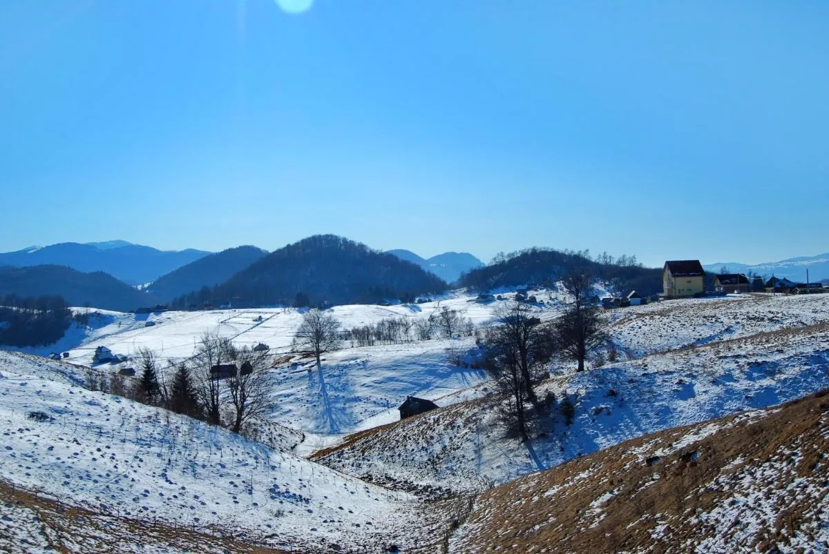 Image 7 of Pensiunea Pui de Urs Sirnea