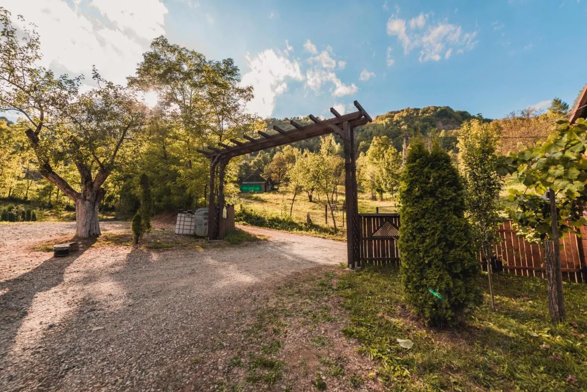 Image 2 of Pensiunea Valea cu Salcâmi