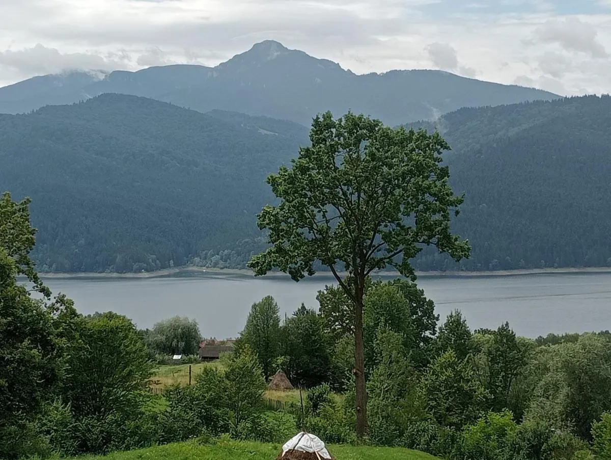 Image 3 of Perfect view cottage with pool