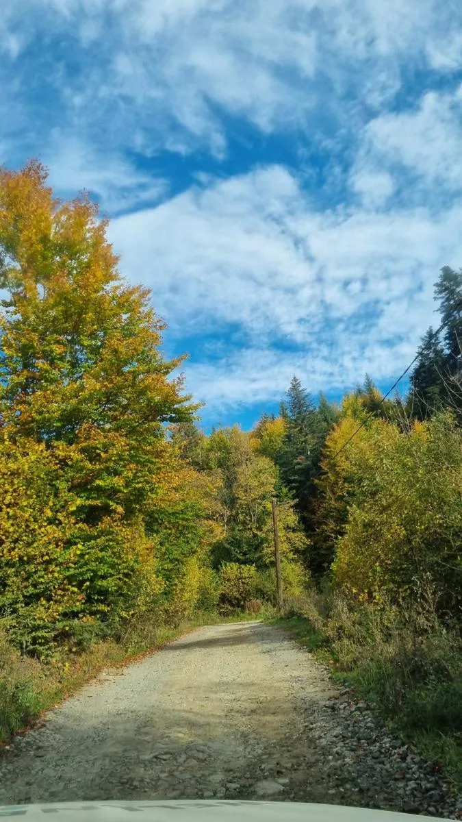 Image 2 of Piricske Pihenőház
