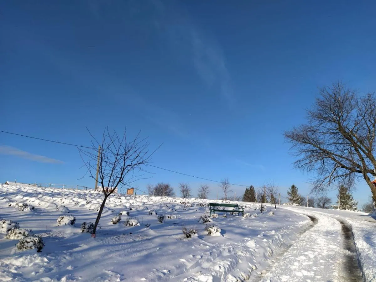 Image 5 of Rose Hip Hill Farm