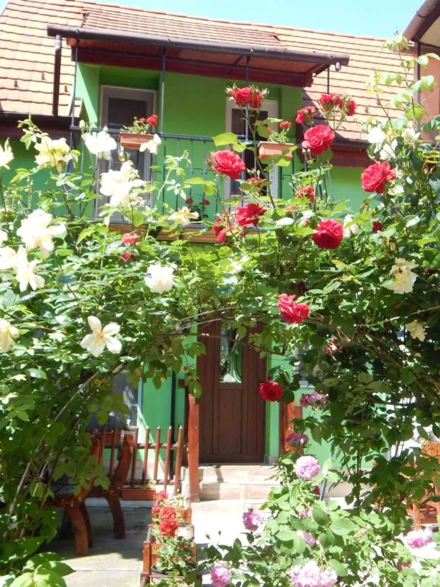 Image 5 of Sibiu Home 4 Green
