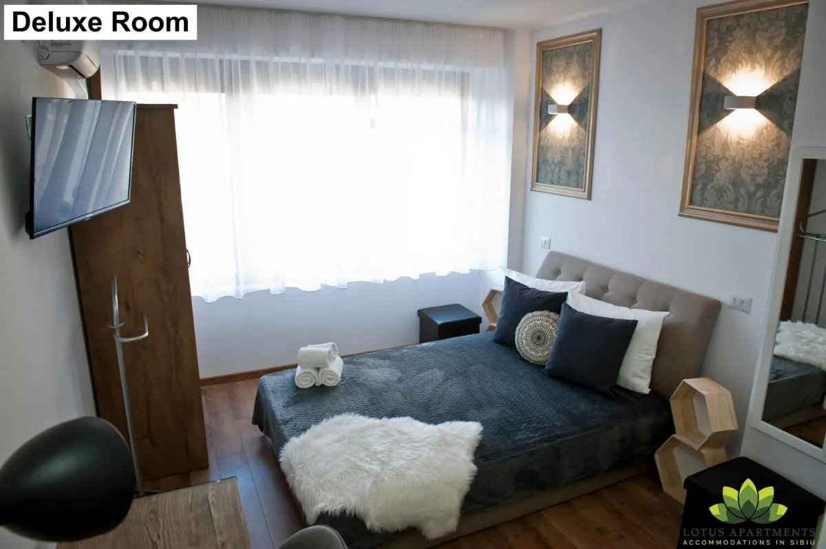 Image 4 of Sibiu Lotus Apartments