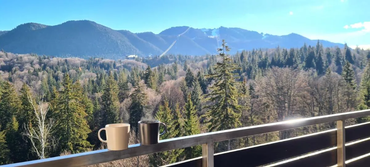 Image 3 of Silver Mountain Panoramic View C48