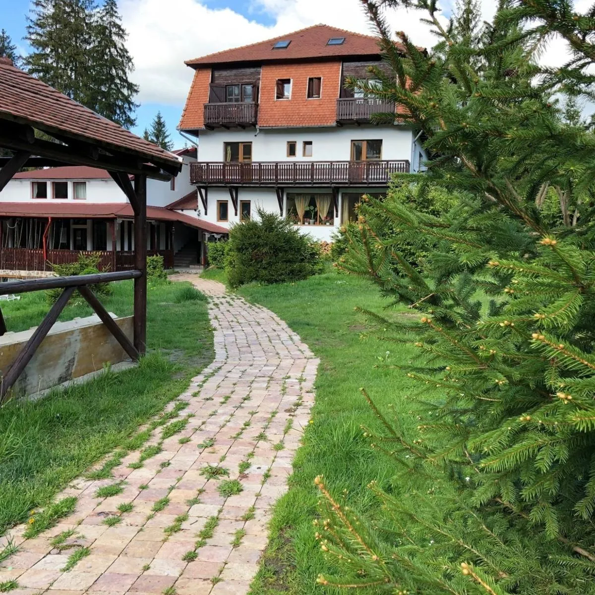 Image 4 of Stanca Soimilor