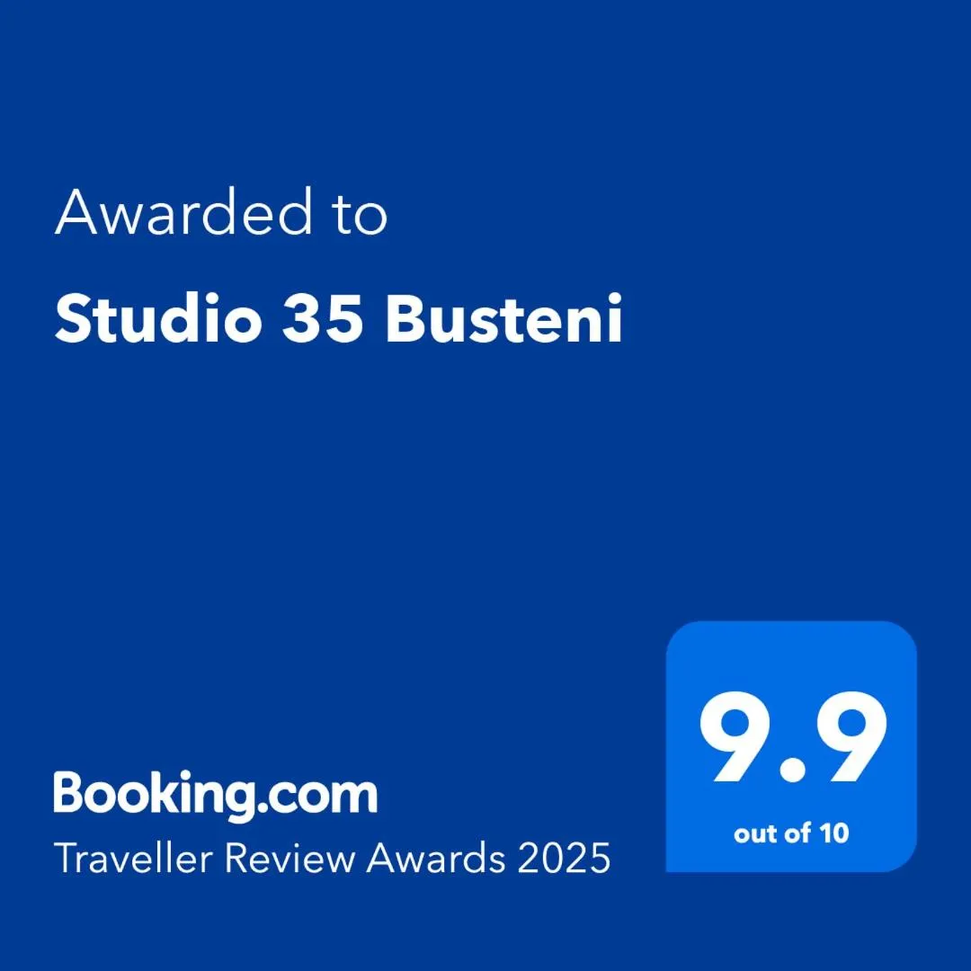 Image 4 of Studio 35 Busteni